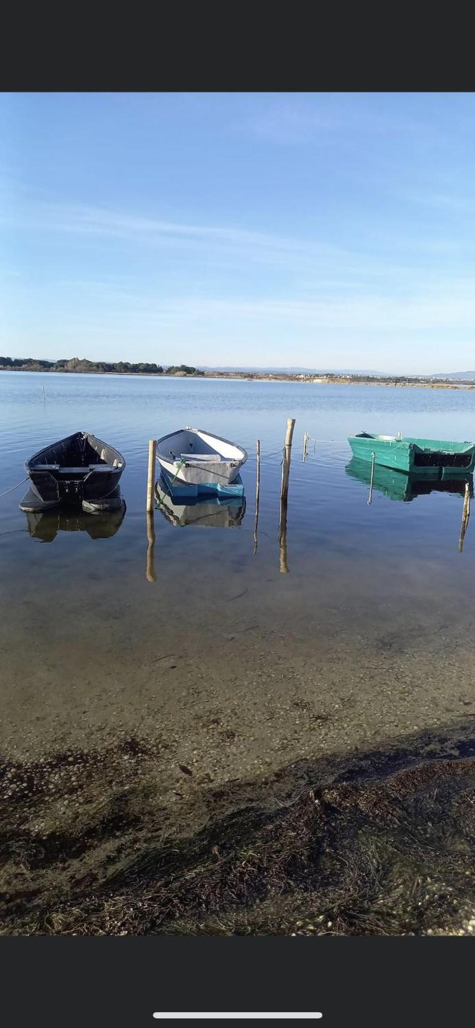 Studio Climatise Proche De Montpellier Et Des Plages Villeneuve-lès-Maguelonne Kültér fotó