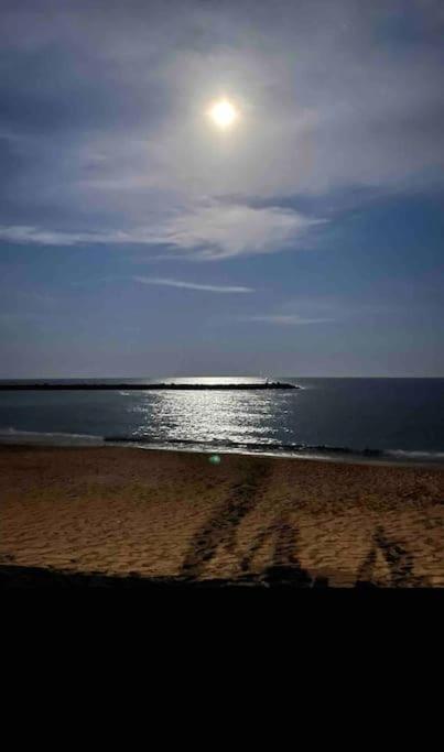 Studio Climatise Proche De Montpellier Et Des Plages Villeneuve-lès-Maguelonne Kültér fotó